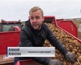 В пригородных хозяйствах Кирова завершили сбор зерновых культур и овощей