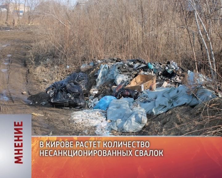 Мнение (01.11.2017)