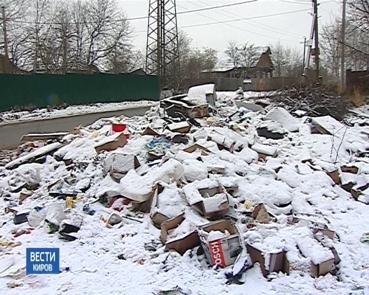 Жители слободы Санниковы страдают от стихийной свалки