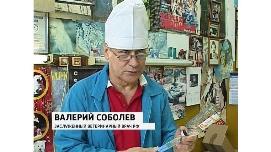 Скончался известный ветеринарный врач Валерий Соболев.