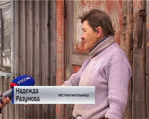 Нашествие волков в Опаринском районе