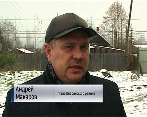 Нашествие волков в Опаринском районе