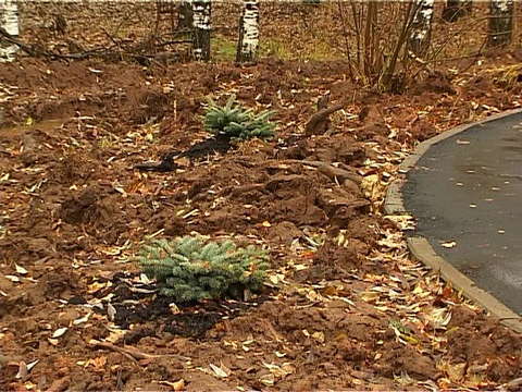 Игорь Васильев посетил Кочуровский парк