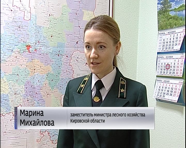 лесничество кирова