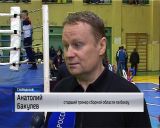 В Слободском прошел межрегиональный турнир по боксу