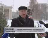 В Кирове начали работать елочные базары