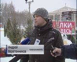 В Кирове начали работать елочные базары