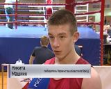 Чемпионат и Первенство области по боксу во Дворце Единоборств 