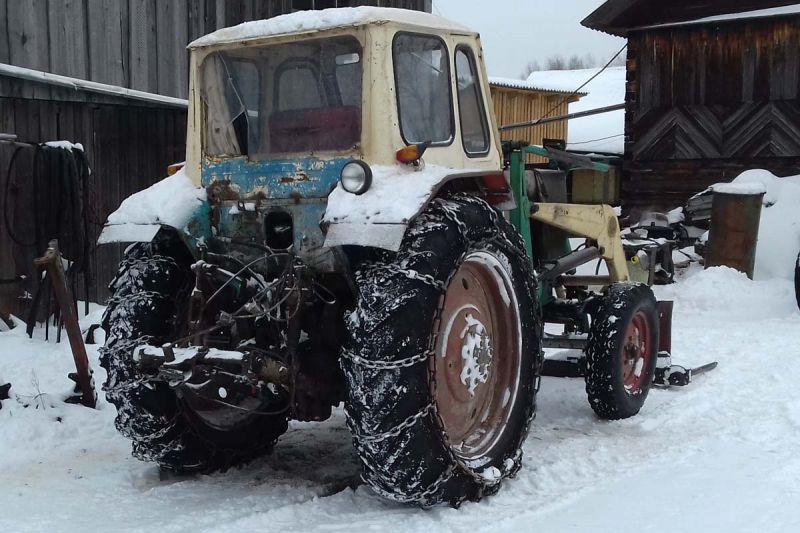 Житель Санчурского района вырубил ели на особо защищенном участке леса.