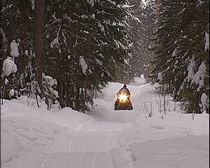 В регионе началась масштабная перепись животных