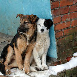 Выпуск информационной программы 