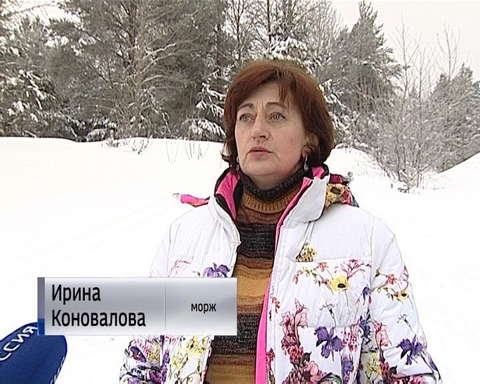 Для моржей из Стрижей купание минус 10 - бархатный сезон