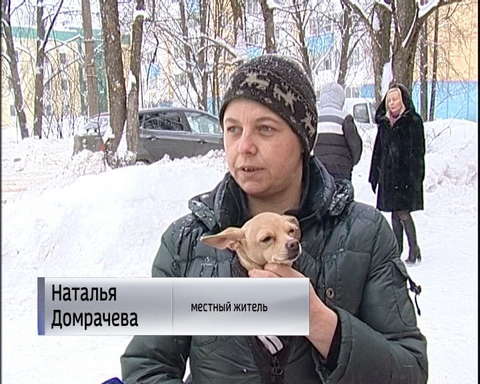 В Лянгасово открылся ветеринарный участок