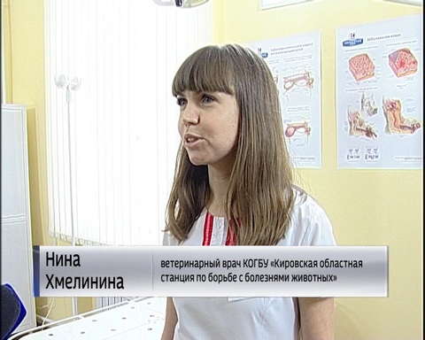 В Лянгасово открылся ветеринарный участок