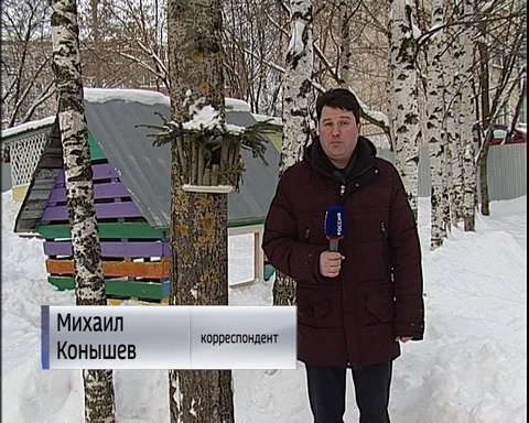 В Кирове завершился городской конкурс на лучшую кормушку для птиц
