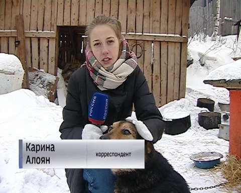 Приюту для животных требуется помощь неравнодушных людей