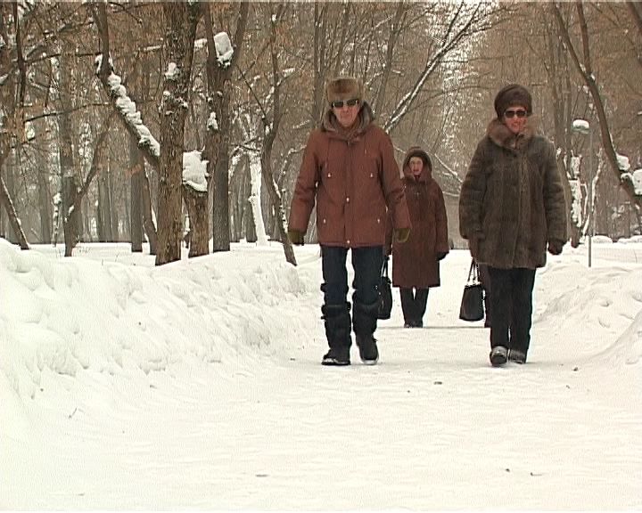 В Кирове сносят деревья, которые представляют опасность