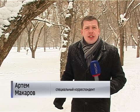 В Кирове сносят деревья, которые представляют опасность