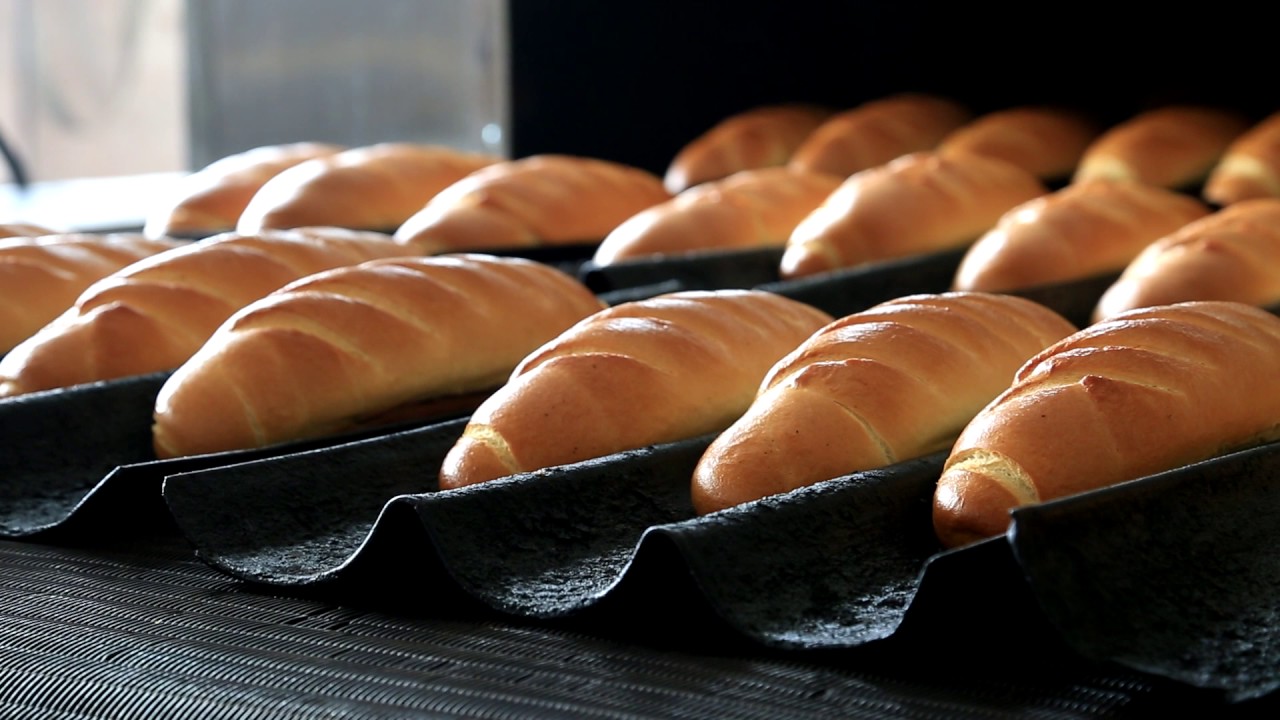 Экс-директора ООО 