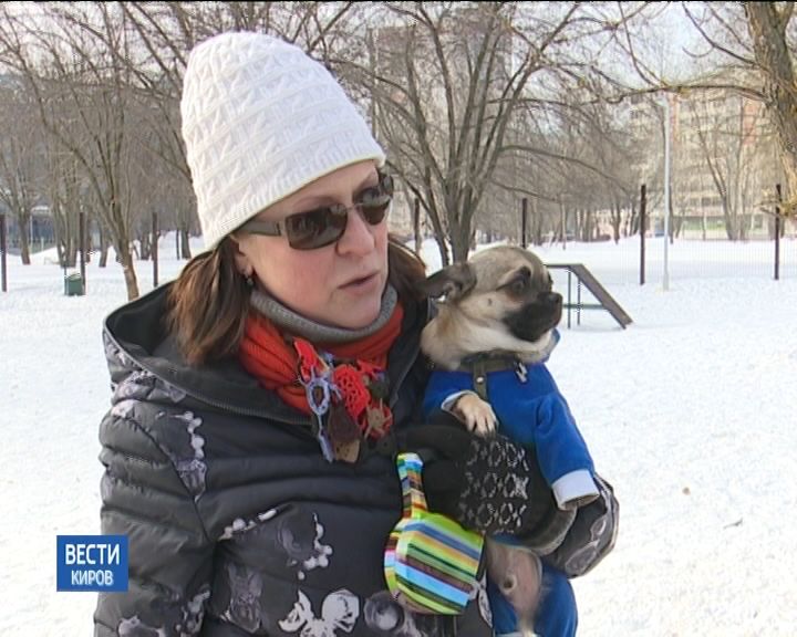 Горожан учат, как правильно выгуливать собак