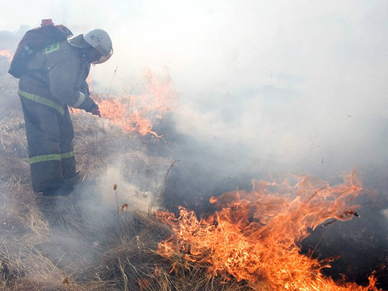 Вести. Кировская область в 20.45 (Россия-1)  23.03.2018