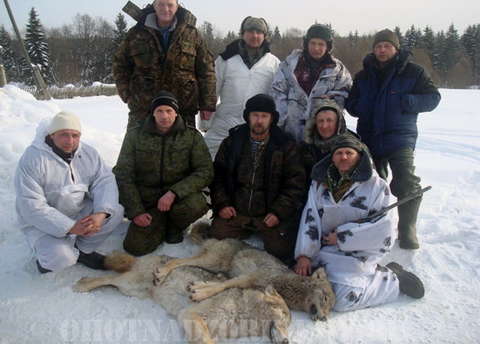 В Кировской области охотники добыли второго волка-меланиста.