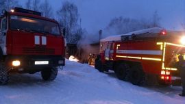 В Малмыжском районе сгорели пять коров.