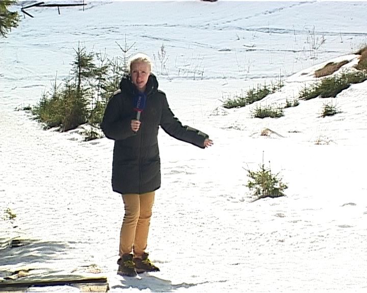 Стихийная дорога к ЦРБ в Омутнинске