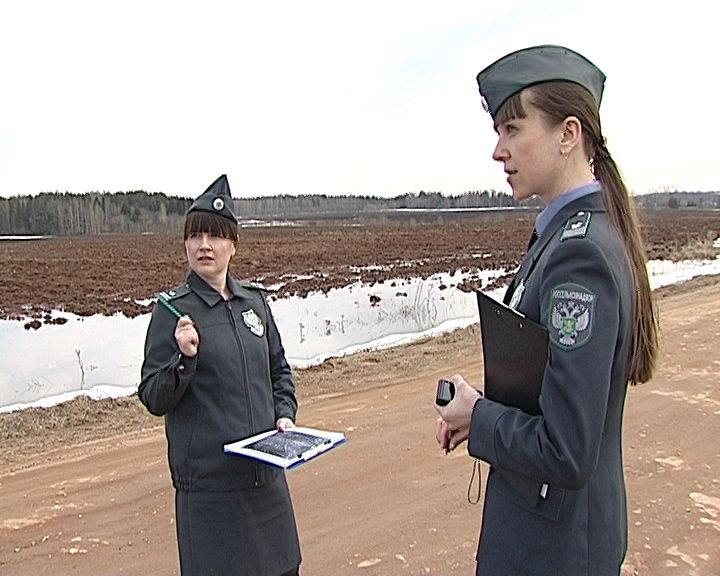 Россельхознадзор устанавливает фактическое состояние земельных участков