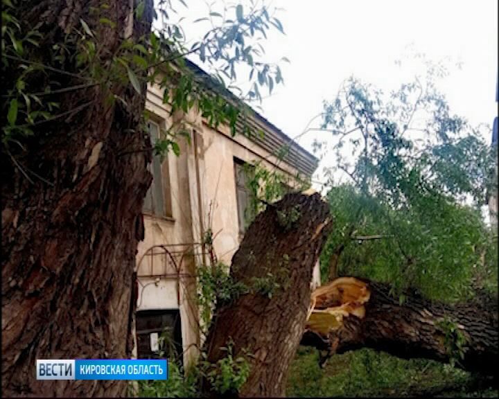 Вести. Кировская область (Россия-1) 30.05.2018