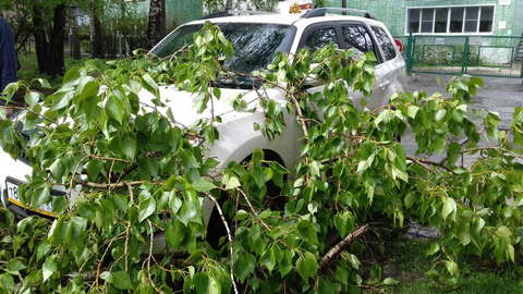 В Кирове прошла сильная гроза.
