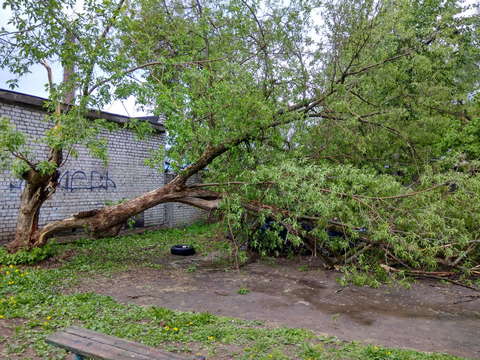 В Кирове продолжают устранять последствия урагана.