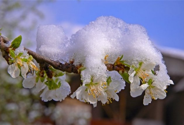 Вести. Киров 1.06.2018 (Россия-24)