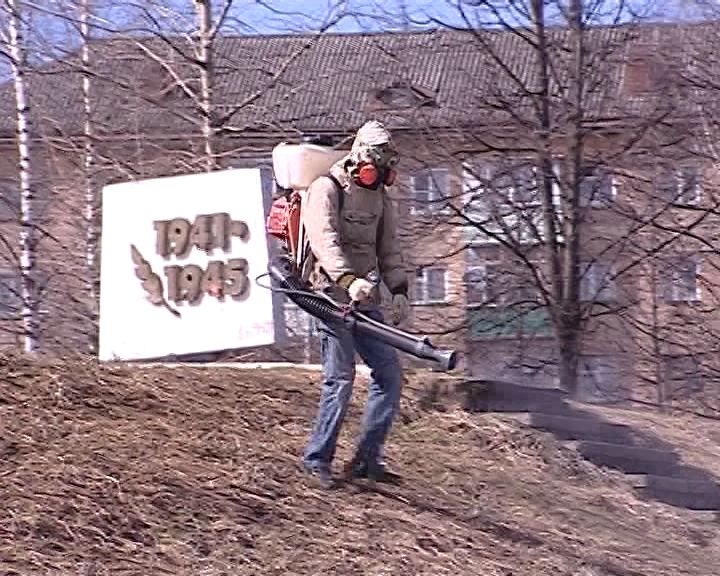 С начала сезона клещи в Кировской области покусали почти 5 тысяч человек