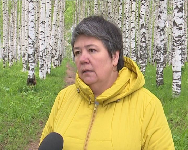 Общественные активисты пытаются спасти березовую рощу