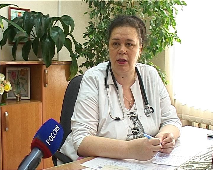 Кировчане в этом году отмечают небывалое количество мошек