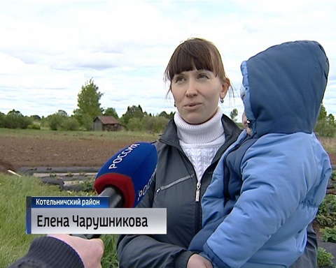 "Социальные контракты" для поддержки семей 