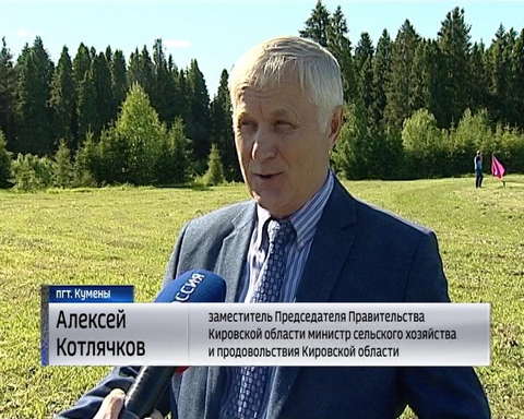 Сельские Игры в Куменах собрали 300 спортсменов из 20-ти районов