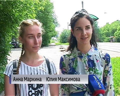 Кировчане в этом году отмечают небывалое количество мошек 