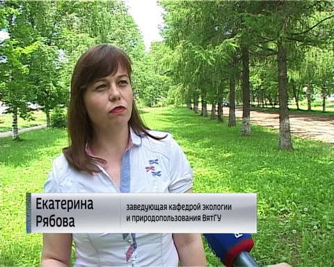 Кировчане в этом году отмечают небывалое количество мошек 