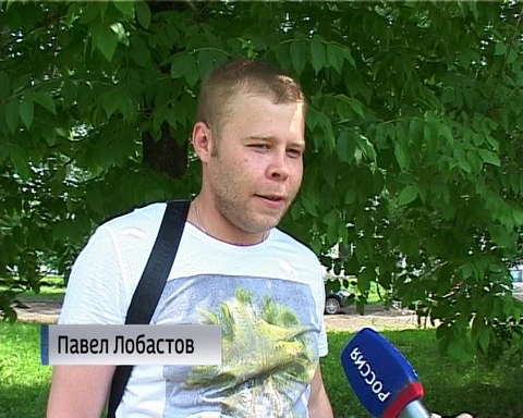 Кировчане в этом году отмечают небывалое количество мошек 