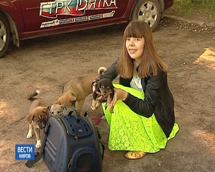 Вести. Киров (Россия-24) 29.06.2018