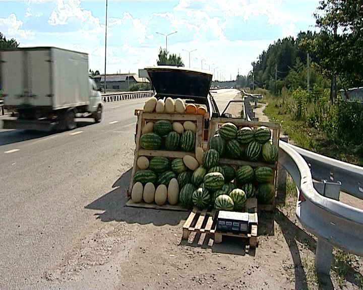 Россельхознадзор провел рейд по точкам незаконной торговли арбузами