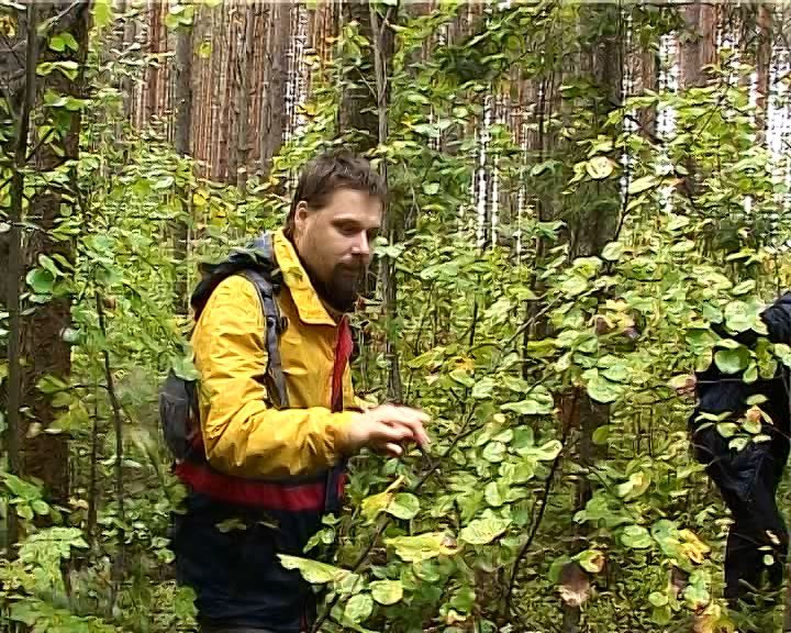 Что поможет не заблудиться в лесу?