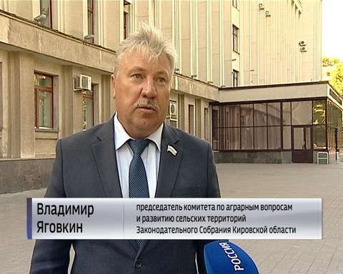 Проблема с безнадзорными животными остается актуальной для Кирова