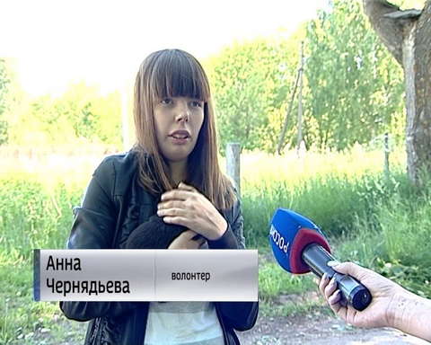 Проблема с безнадзорными животными остается актуальной для Кирова