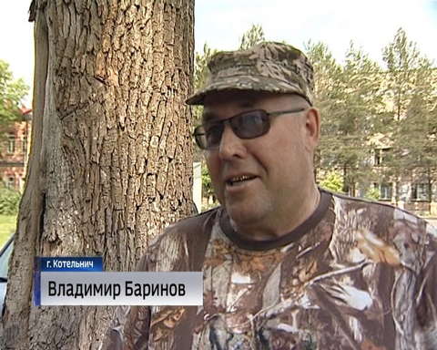 Любители охоты встретились в Котельниче на выставке собак