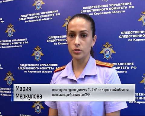 В Кирово-Чепецком районе выясняют обстоятельства нападения двух алабаев на жителей