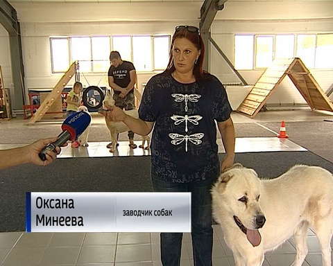 В Кирово-Чепецком районе выясняют обстоятельства нападения двух алабаев на жителей