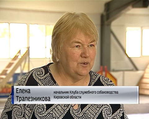 В Кирово-Чепецком районе выясняют обстоятельства нападения двух алабаев на жителей